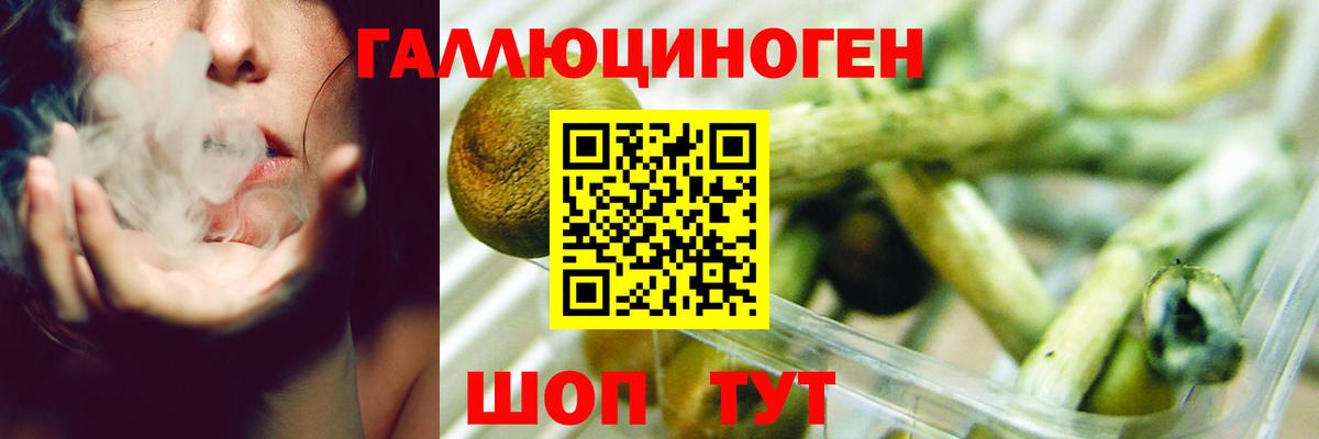 Псилоцибиновые грибы Psilocybine cubensis  Вход с VPN  Псилоцибиновые грибы Magic Shrooms  Сосновый Бор 